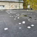 1 (17)